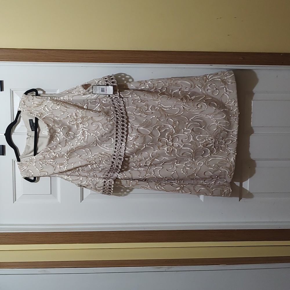 Elegant Evening dress a must have for a summer or fall event
